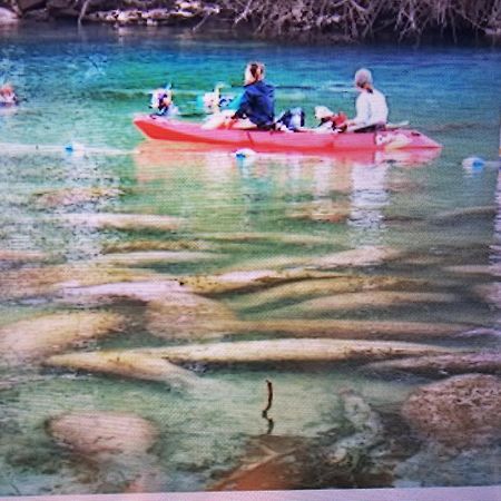 Апартаменты Manatee Watch Den Кристал-Ривер Экстерьер фото
